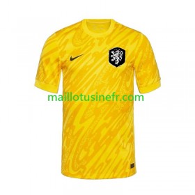 Maillot de Foot Pays-Bas Extérieur Gardien UEFA EURO 2024